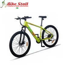 Green Tiger GT-Ebicycle 110